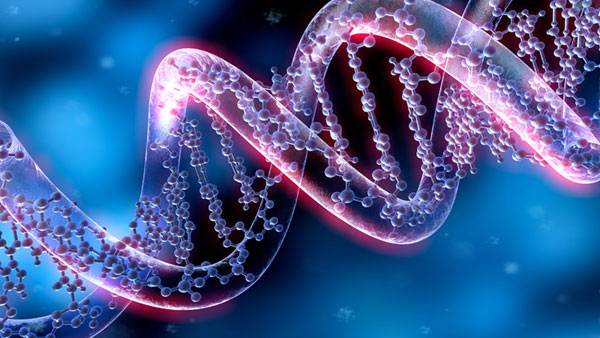 Genetics of Ancestral Inherited Traumatic Memory Patterns